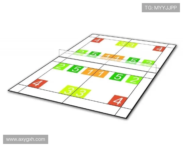 南京排球队的独特节奏与技战术深度解析