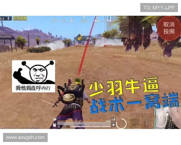 和平精英战术分析：TES战队盯防策略的深度解读与实战应用